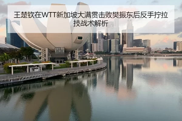 王楚钦在WTT新加坡大满贯击败樊振东后反手拧拉技战术解析